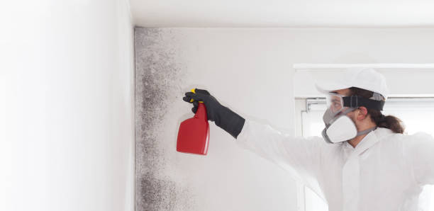Water Damage Restoration in New Paris, IN