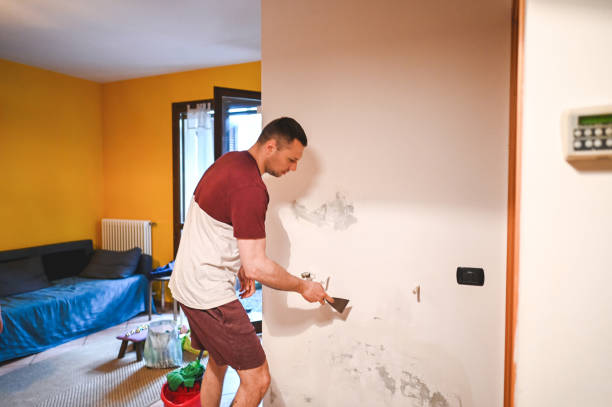 Best Mold Removal and Inspection  in New Paris, IN